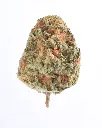 2. Orange Creamsicle.webp
