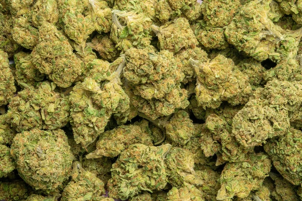 [BPFLTALOGZ] The Original Z.webp