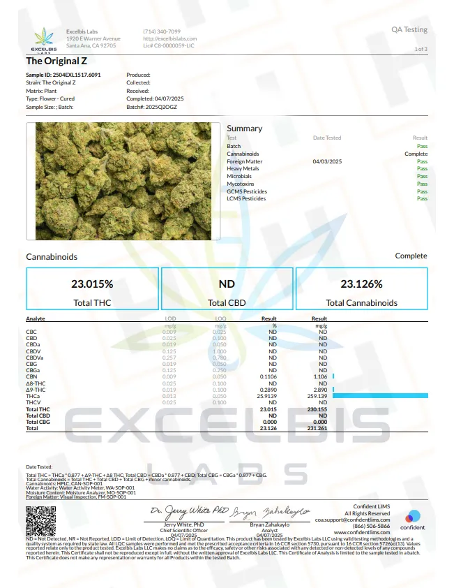 The Original Z paperwork 1.webp