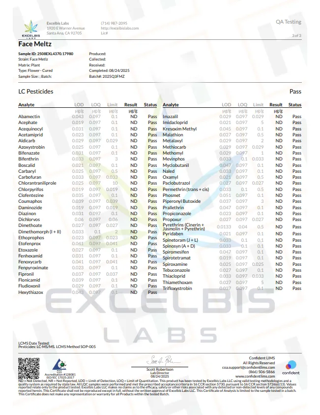 Face Meltz paperwork 3.webp