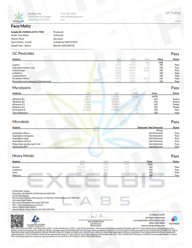 Face Meltz paperwork 2.webp