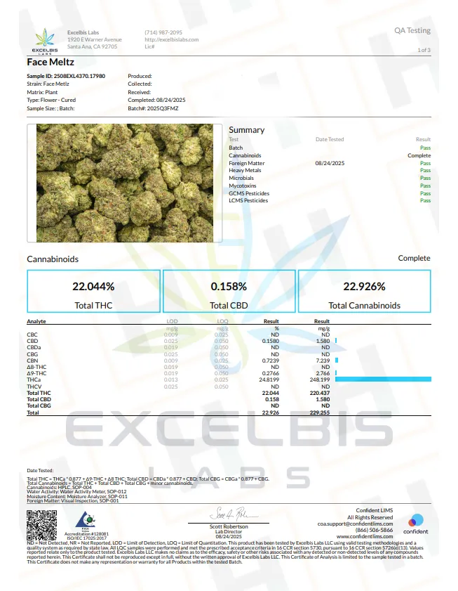 Face Meltz paperwork 1.webp