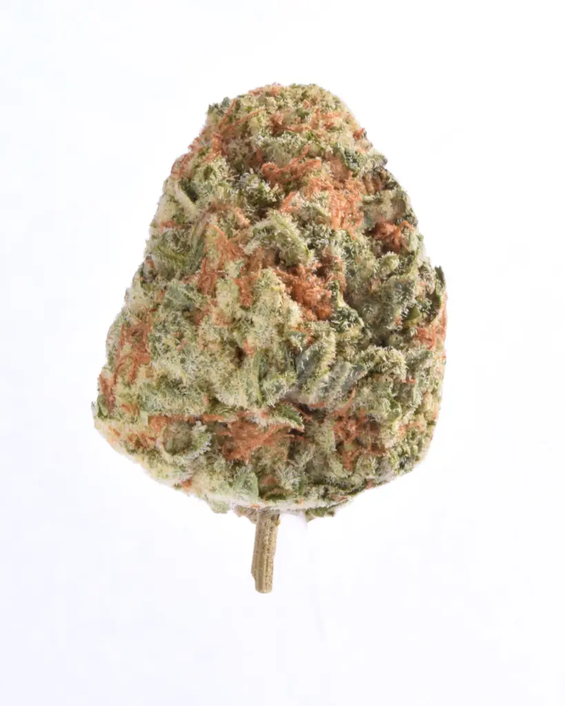 2. Orange Creamsicle.webp
