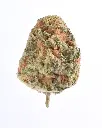 2. Orange Creamsicle.webp